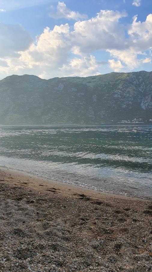 Viva House Villa Kotor Eksteriør billede