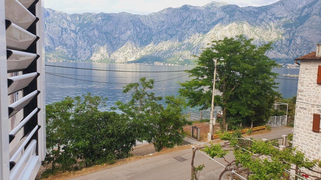 Viva House Villa Kotor Eksteriør billede