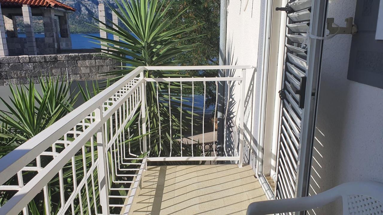 Viva House Villa Kotor Eksteriør billede